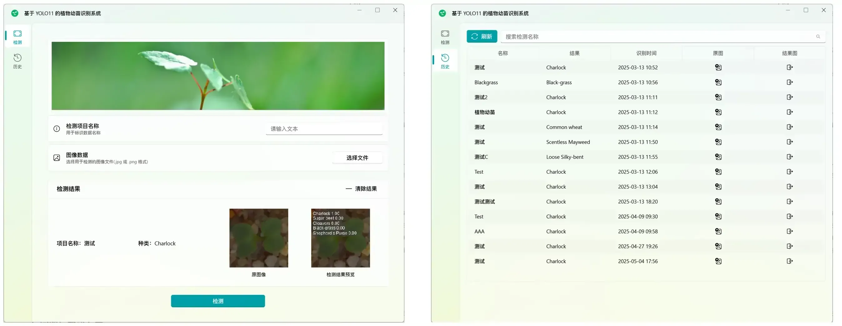 植物幼苗分类桌面系统的检测结果页与历史记录列表页并排截图
